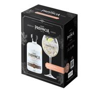 Pack Gin Provincia Andes Dry 40° 750 cc + Copa