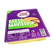 Queso Mantecoso Sin Lactosa Surlat Envasado Laminado 250 g