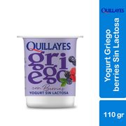 Yogurt Griego Quillayes Sin Lactosa Berries 110 g