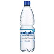 Agua Mineral Cachantun Gasificada 600 ml