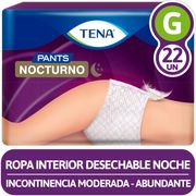 Ropa Interior Desechable Tena Pants Nocturno G 22 un.