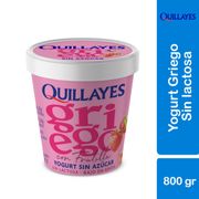 Yogurt Griego Sin Azúcar con Trozos de Frutilla Pote 800 g