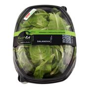 Lechuga Fresh Cut Salanova Hojas 150 g