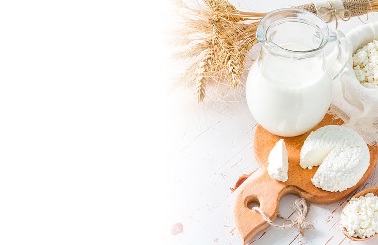 bglacteosybebidasvegetales