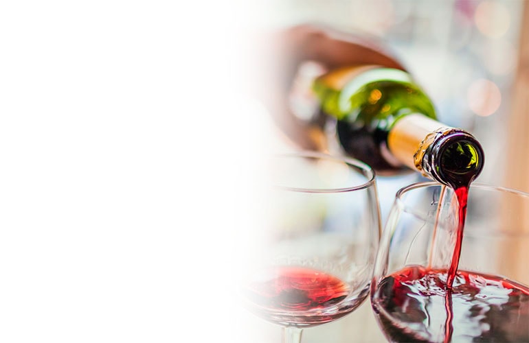 bgvinoscervezasylicores