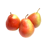 Pera Forelle Granel