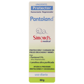Ungüento Pantoland Protect 60 g
