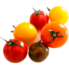 Tomate Cocktail Variedades Granel