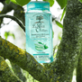 Shampoo-micelar-purifying-250-ml-3-105595051