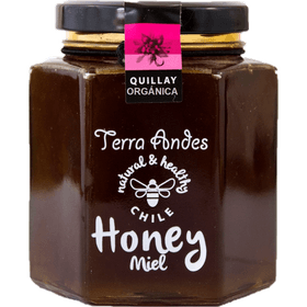 Miel de Quillay orgánica 400 g