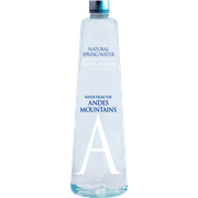 Agua Mineral Andes Mountain Sin Gas 1 L