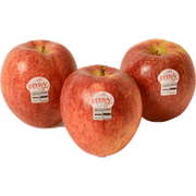 Manzana Envy Granel
