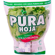 Lechuga Lollo Bionda Hidropónica 1 un.