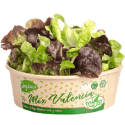 Ensalada Vegus Orgánica Mix Valencia Vegus 150 g