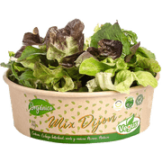 Ensalada Vegus Orgánica Mix Dijon Vegus 150 g