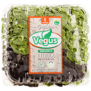 Lechuga Vegus Butterhead Orgánico Clamshell 500 g