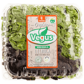 Lechuga Vegus Butterhead Orgánico Clamshell 500 g