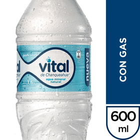 Agua Mineral Vital Gasificada 600 ml