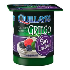 Yogurt Griego Quillayes Sin Lactosa Berries 110 g