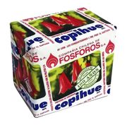 Fósforos Copihue 10 Cajas 38 Palitos Cada Una