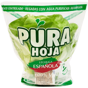 Lechuga Hidropónica Española 1 un.