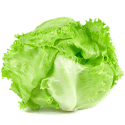 Lechuga Escarola Feria 1 un.