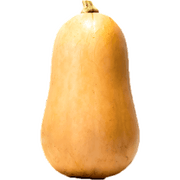 Zapallo Butternut 1 un.