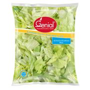 Lechuga Escarola 300 g