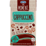 Leche Danone Moments Cappuccino 1 L