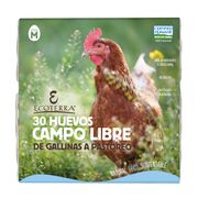 Huevos Ecoterra Gallinas Libres Grandes 30 un.