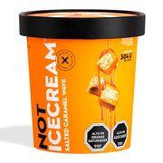 Helado Vegetal NotIceCream Salted Caramel 304 g