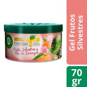 Desodorante Ambiental Air Wick Gel Frutos Silvestre 70 g