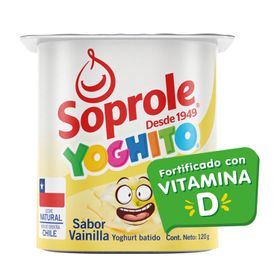 Yoghurt Batido Vainilla 120 g
