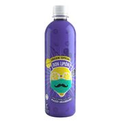 Limonada Don Limón Maqui Arándano Botella 500 ml