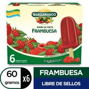 Barra de Fruta Guallarauco Frambuesa 60 g 6 un.