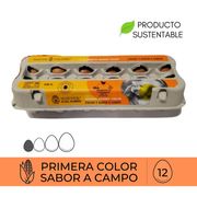 Huevos Coliumo Premium Grandes Color 12 un.