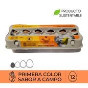 Huevos Coliumo Premium Grandes Color 12 un.