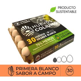 Huevos Coliumo Premium Grandes Blancos 30 un.