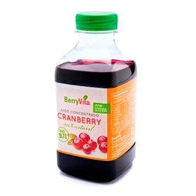Jugo Concentrado Berryvita Cranberry 450 ml
