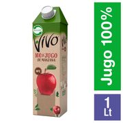 Jugo 100% Fruta Manzana 1 L