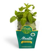 Menta Orgánica