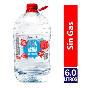 12x Agua Mineral Vital Con Gas Botella 600cc