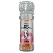 Sal Himalaya Cuisine & Co 90 g