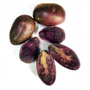 Papa Ox Malla 1.5 kg