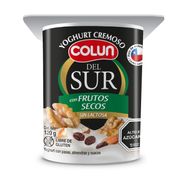 Yogurt Colun del Sur Frutos Secos 120 g