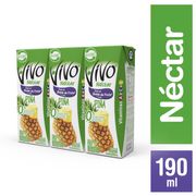 Pack 3 un. Néctar Piña 190 ml