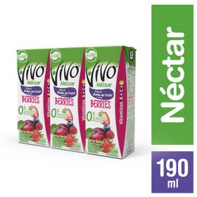 Pack 3 un. Néctar Berries 190 ml