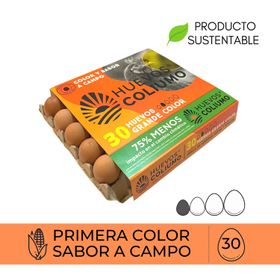 Huevos Coliumo Premium Grandes Color 30 un.
