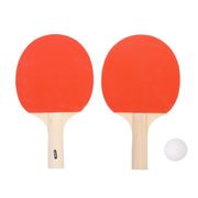 Paleta de Ping Pong Con Pelotas Radost