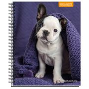 Cuaderno Universitario Mascotas Adorables 100 Hojas 7 mm Proarte